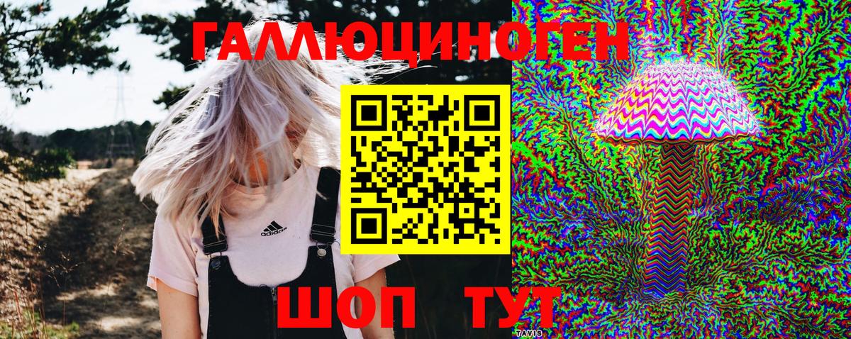 Псилоцибиновые грибы мицелий Касимов